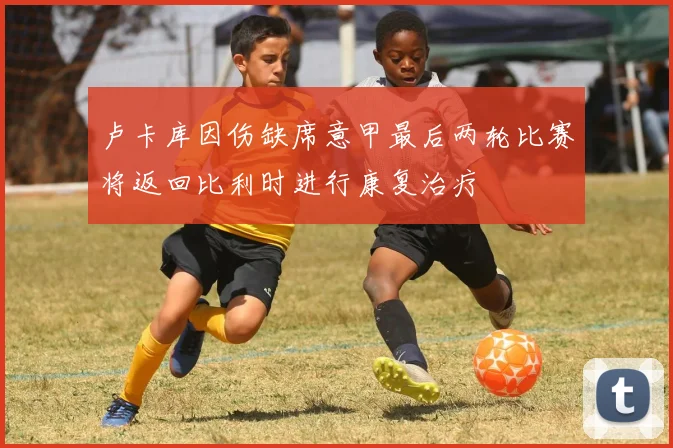 卢卡库因伤缺席意甲最后两轮比赛将返回比利时进行康复治疗